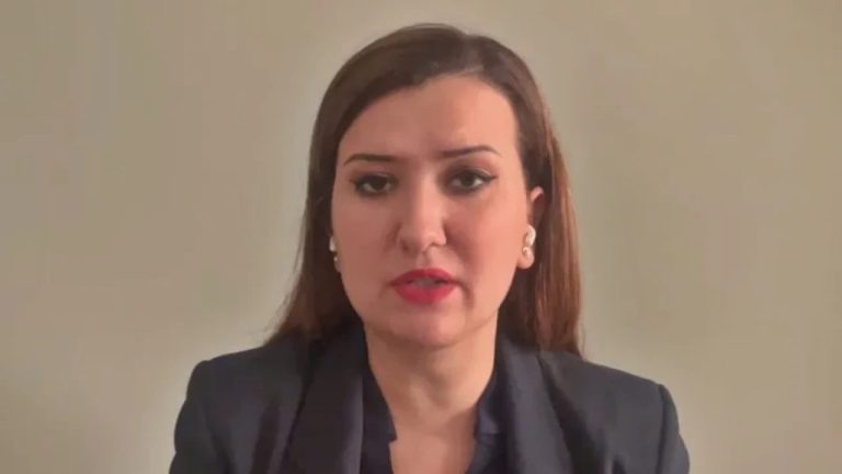 Gökçe Gökçen Kimdir? Biyografisi, Kaç Yaşında Olduğu ve Siyasi Kariyeri Merak Edilenler