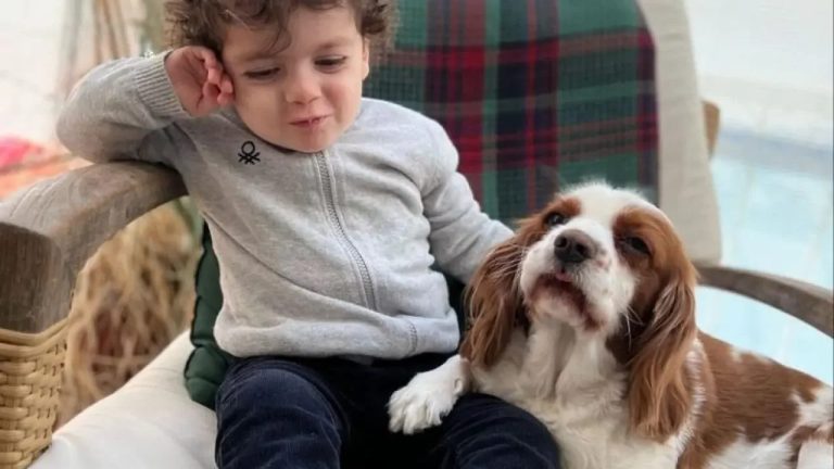 Uzak Şehir Dizisi’nin Deniz Cihan Albora’sı Kimdir? Yaşı ve Memleketi Merak Ediliyor!