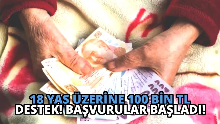 18 Yaş Üzerine 100 Bin TL Destek! Başvurular Başladı!