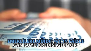 Emeklilere Müjde: %1.15 Faizle Can Suyu Kredisi Geliyor!