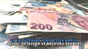 18 Yaş Üzerine Yeni Destek Kapısı Açıldı: Detaylar ve Başvuru Rehberi